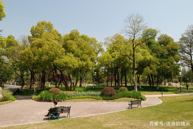 花冲公园最新消息