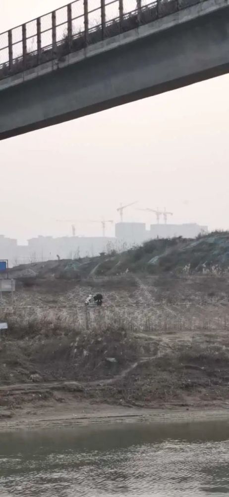 最新高陵泾河大桥加宽