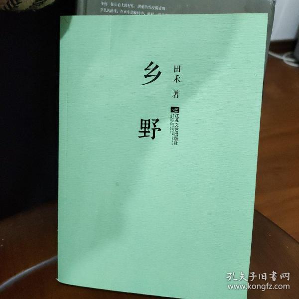 王鸣野村乡情最新章节