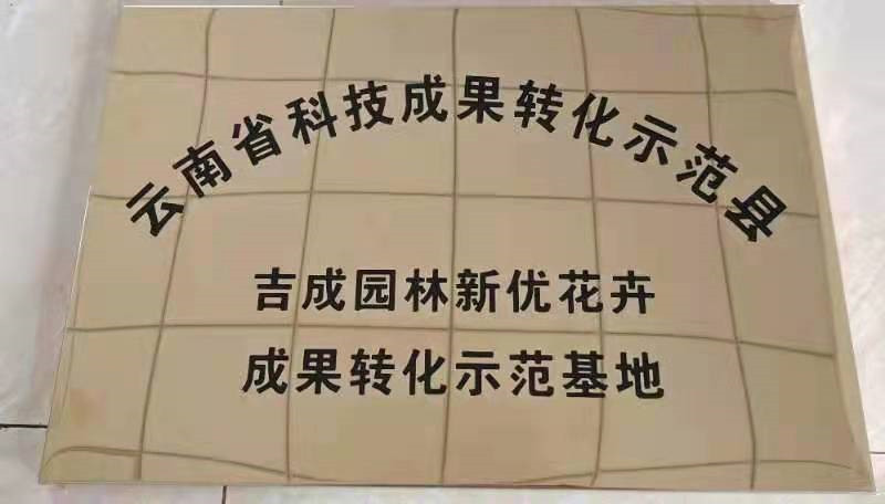 弥勒吉成公司最新招聘