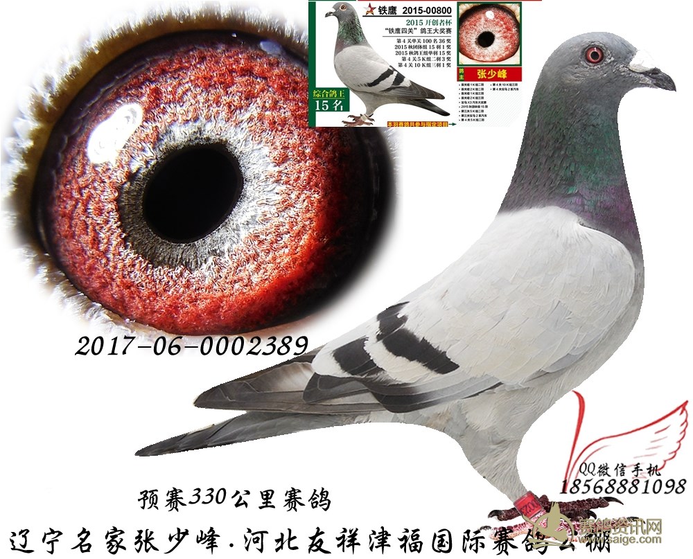 辽宁津福公棚最新公告