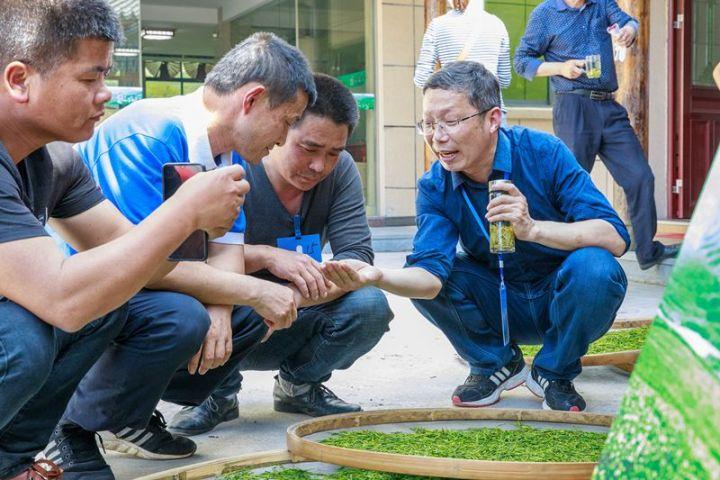 安吉百姓连线视频最新