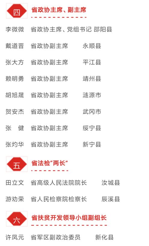 武冈市最新市领导名单