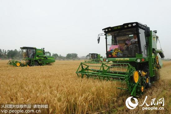 阜阳南照镇最新新闻