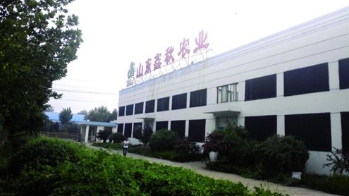 鑫秋农业最新消息