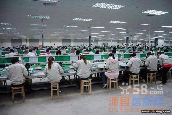 热门推荐 第217页