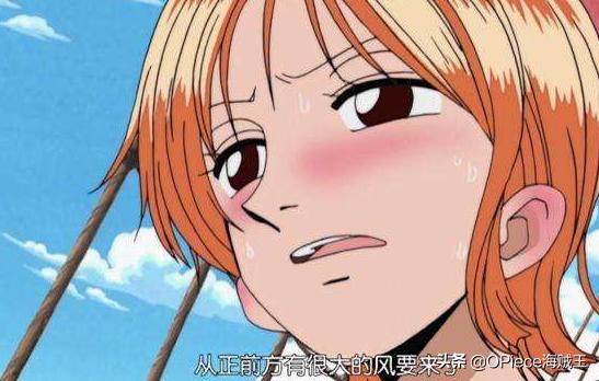 海贼王最新娜美身世