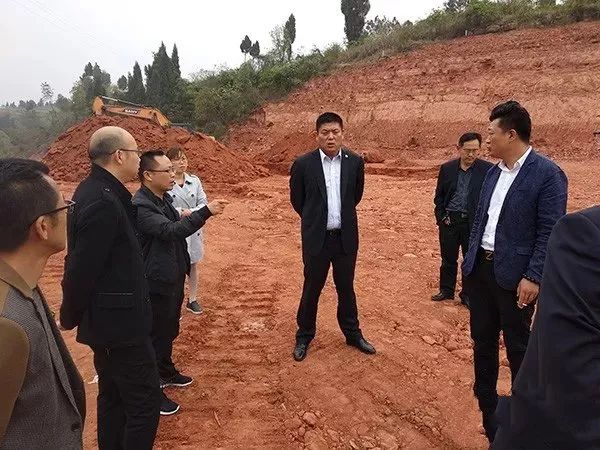 合什镇最新消息