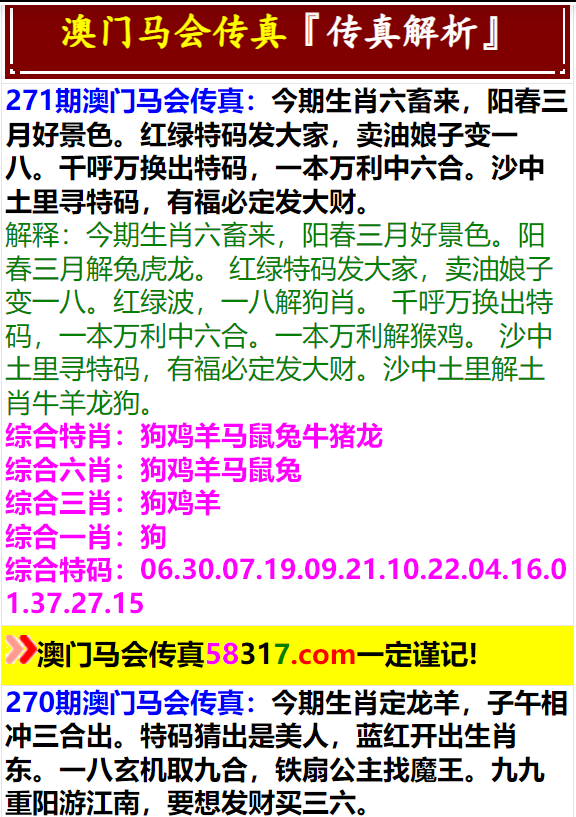 2024年新澳门马会传真资料全库|精选解释解析落实