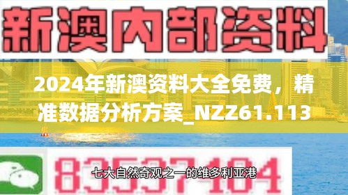 2024新澳精准正版资料|精选解释解析落实