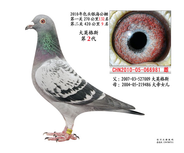 特别推荐 第199页