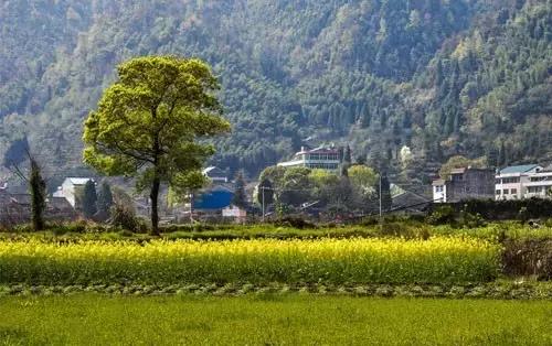 最新农村征地赔偿标准