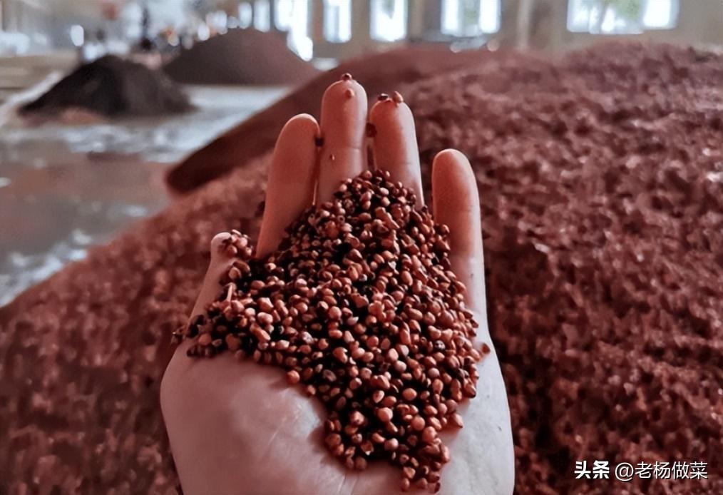 深圳老爷子最新情况