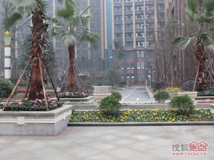 领馆国际城最新房价