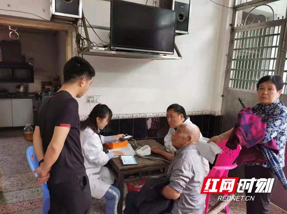 桃江红网今日最新消息