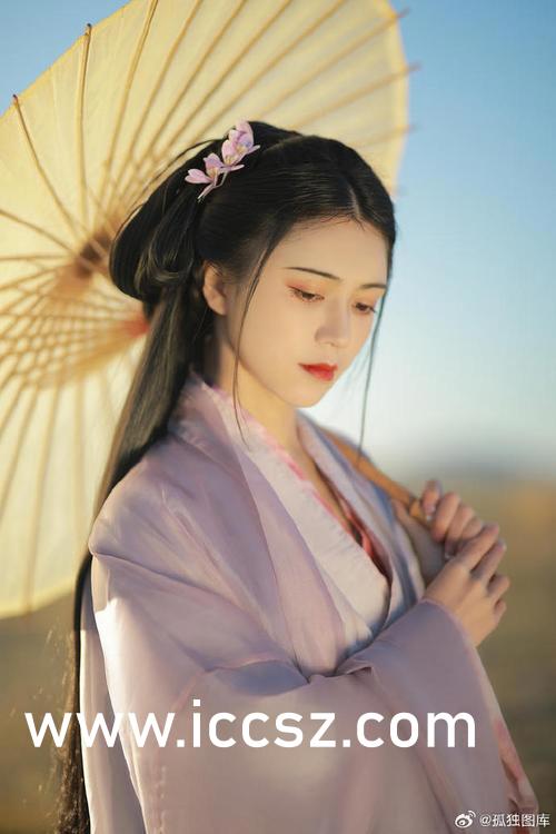 龙泽乃南最新作品