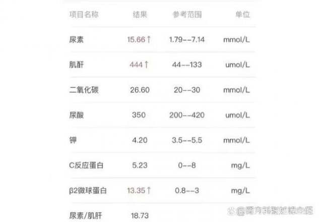 血肌酐正常值最新标准2022