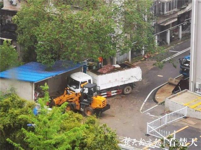 盘龙城垃圾中转站最新消息
