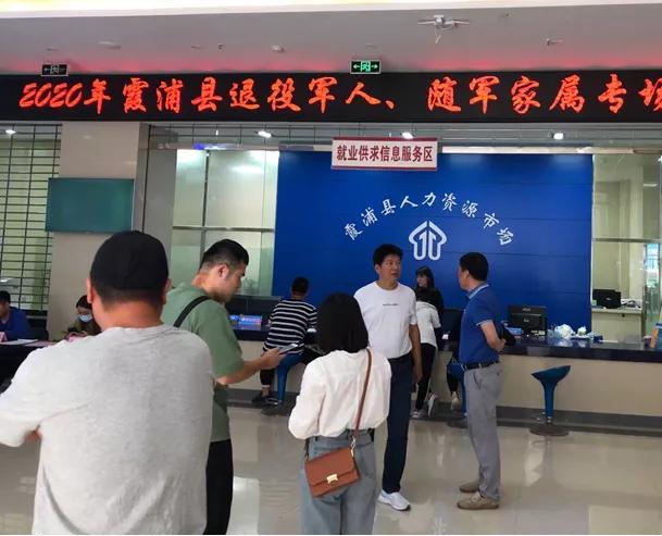 北仑霞浦最新招聘信息