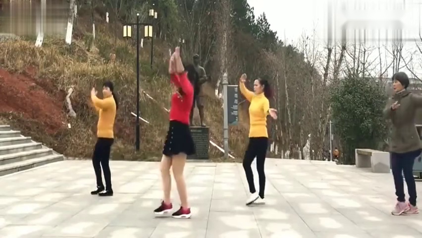 最新广场舞九月九的酒