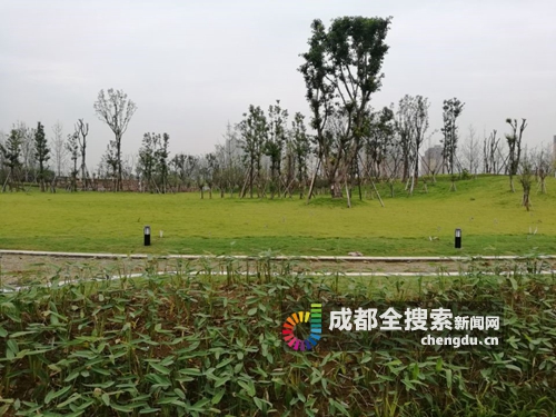 成华圣灯公园最新进展