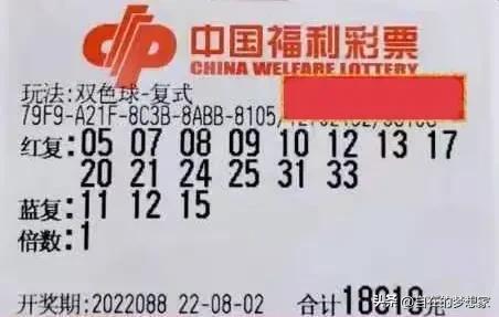 2025年新奥开奖结果,揭秘2025年新奥开奖结果，幸运与期待交织的盛宴