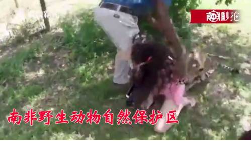 澳门新三码必中一免费,澳门新三码必中一免费，揭示背后的犯罪问题