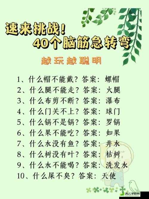 2025年免费脑筋急转弯,玩转脑筋急转弯，2025年免费挑战智慧极限