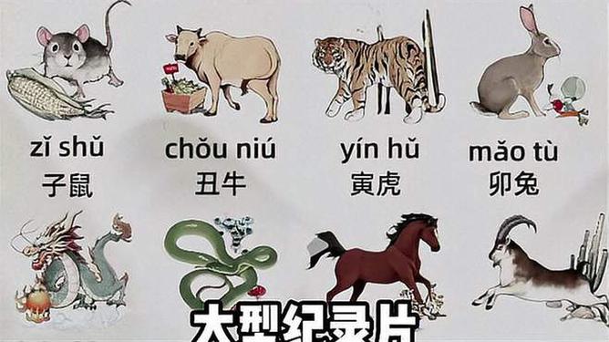 今晚买什么生肖最准确,今晚买什么生肖最准确——揭秘生肖运势与彩票预测的神秘面纱