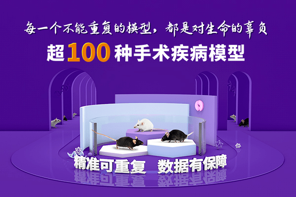 2025新奥天天免费资料53期,探索未来奥秘，新奥天天免费资料第53期深度解析（2025展望）