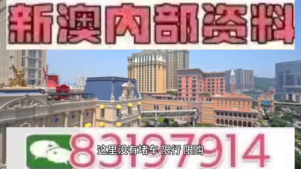 澳门今晚特马开什么号,澳门今晚特马号码预测——探索随机性与理性的边界