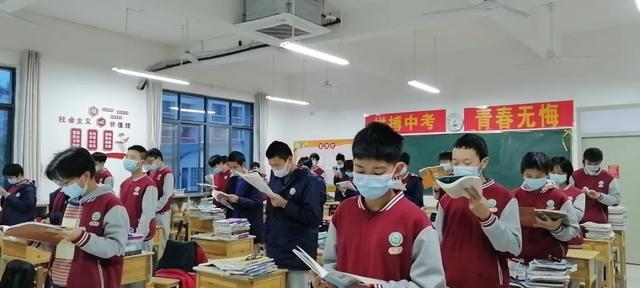 二四六天天彩资料大全网最新,二四六天天彩资料大全网最新，探索与解析