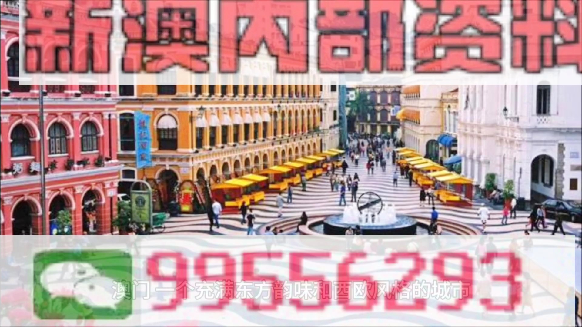 澳门内部最精准免费资料特点,澳门内部最精准免费资料特点，深入解析其独特价值