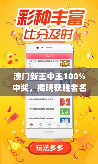 新澳门王中王王中王免费,新澳门王中王王中王免费——探索与体验