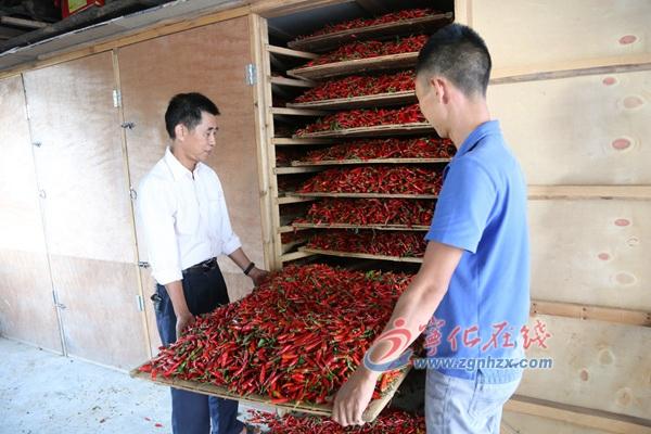 王中王免费资料大全料大全一精准,王中王免费资料大全料大全一精准，深度解析与实用指南
