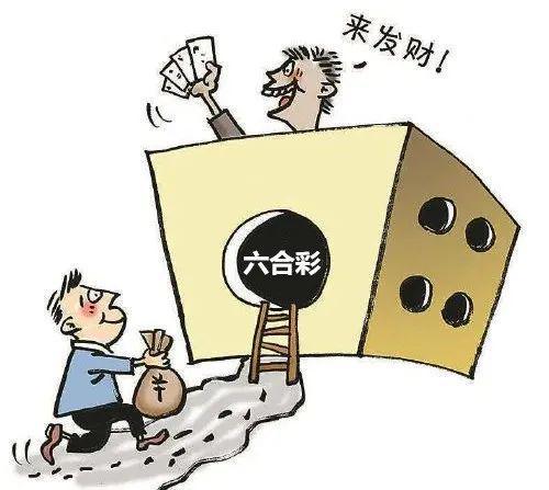 香港6合开奖结果+开奖记录2025,香港六合彩的开奖结果与记录，探索与解析（2025年展望）
