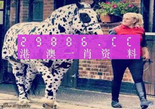 一肖一码9995cocm,一肖一码的独特魅力与9995cocm的奥秘
