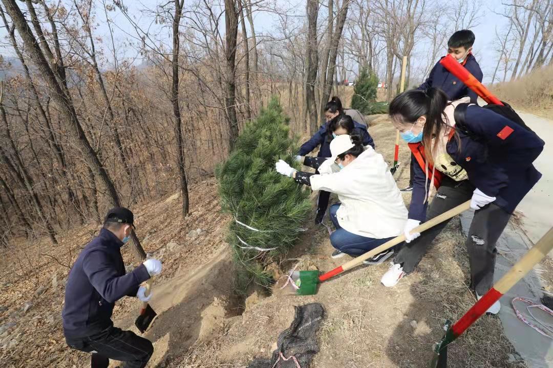 大地资源第二页第三页区别,大地资源的第二页与第三页，区别与洞察