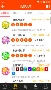 555525王中王四肖四码,揭秘彩票背后的秘密，探索555525王中王四肖四码的魅力