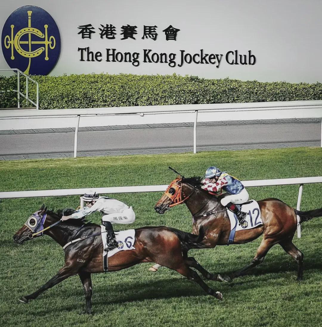 香港马资料更新最快的,香港赛马资料更新最快的来源与利用