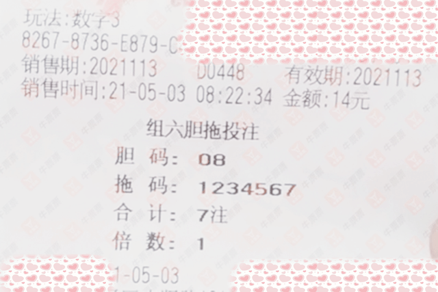 2025年澳门今晚开奖结果,澳门彩票的未来展望，2025年澳门今晚开奖结果展望