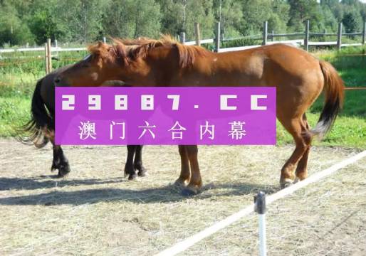4949澳门特马今晚开奖53期,探索澳门特马的魅力，第53期开奖与背后的故事