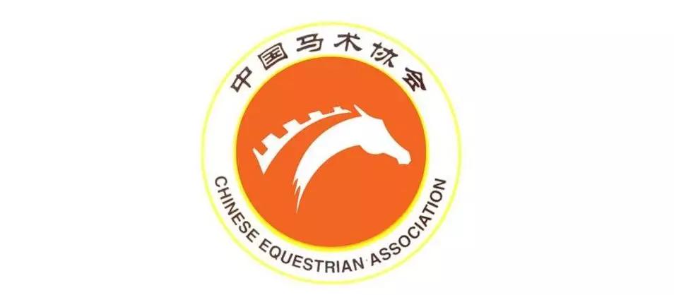 今天澳门晚上出什么马,今天澳门晚上出什么马——探索赛马文化中的神秘魅力