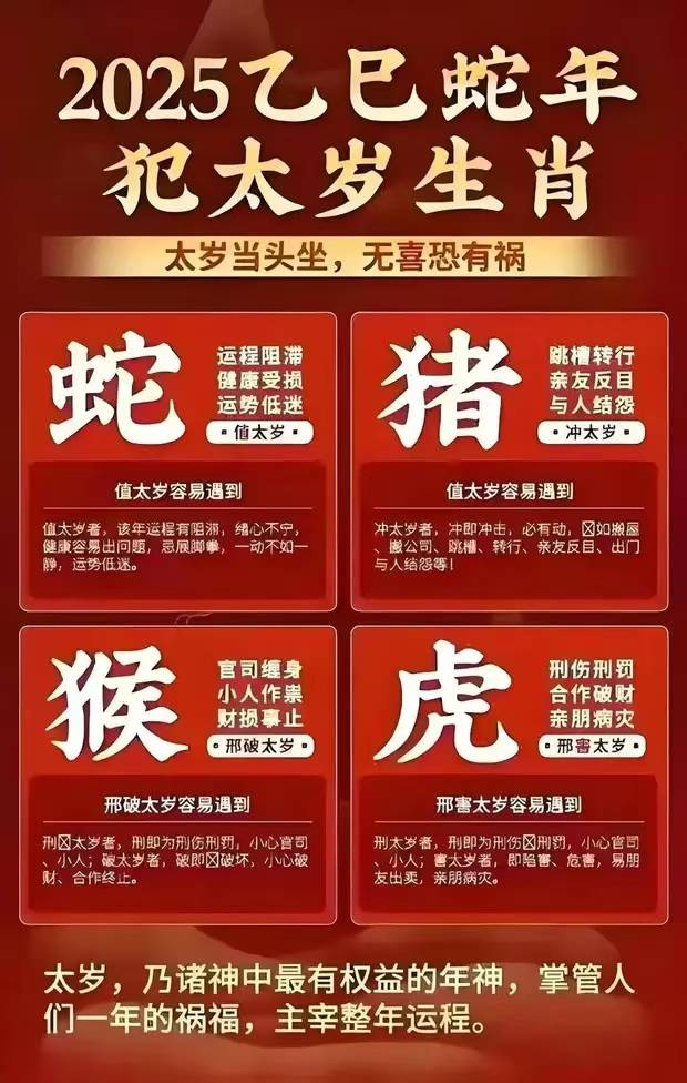 2025十二生肖49个码,探寻十二生肖与数字世界的神秘交汇——2025年十二生肖与数字码49的奥秘