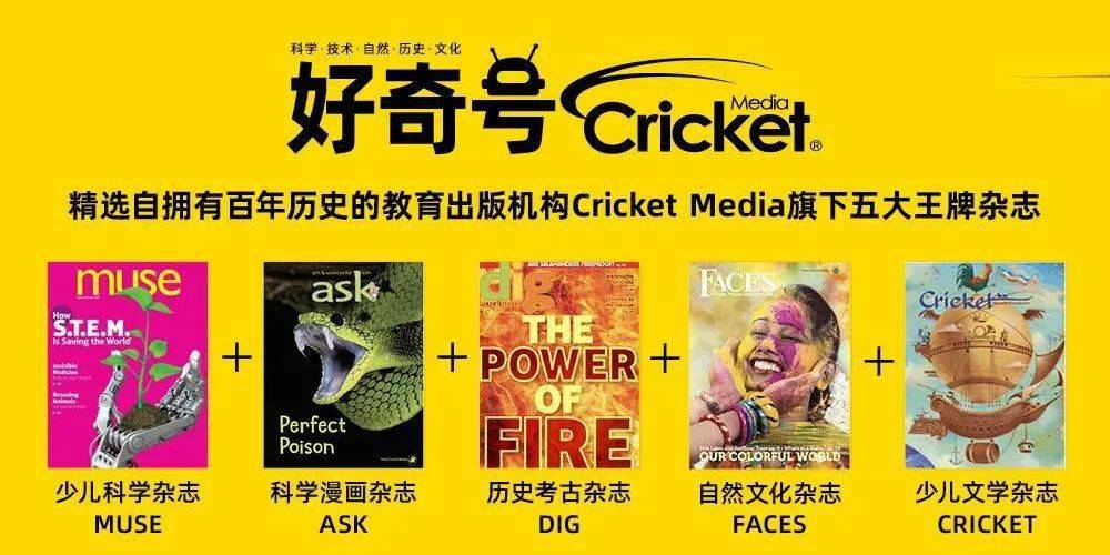 2025新奥正版全年免费资料,探索2025新奥正版全年免费资料的世界