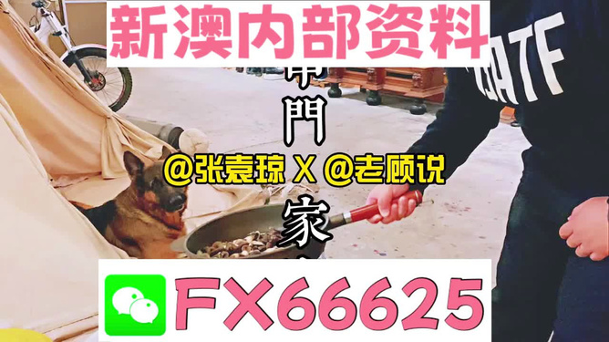管家婆2023正版资料大全,管家婆2023正版资料大全，探索其特点与重要性