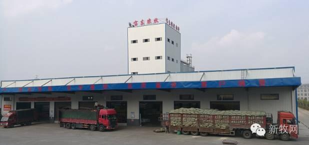 2025年全年資料免費大全,探索未来，2025年全年資料免費大全
