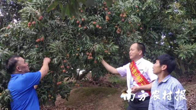 2025年资料大全免费,迈向知识共享的未来，2025年资料大全免费时代