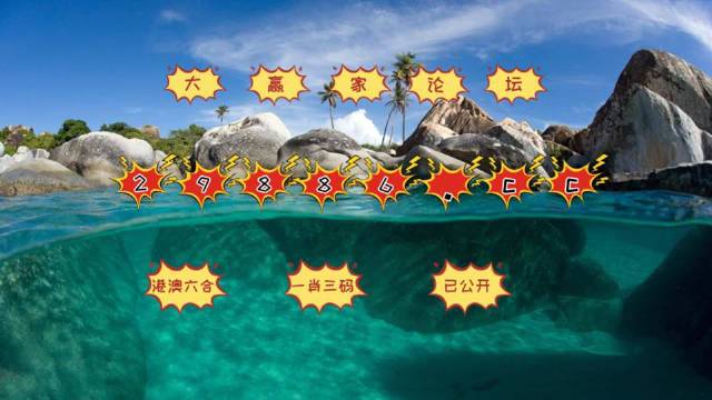 新澳门天天彩开奖结果出来,新澳门天天彩开奖结果探索与解析