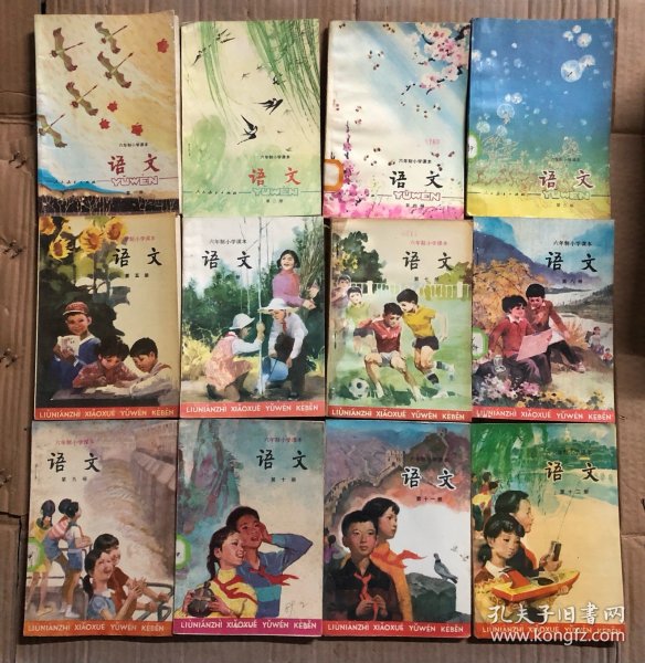白小姐资料大全+正版资料白小姐奇缘四肖,白小姐资料大全与奇缘四肖，正版资料的探索